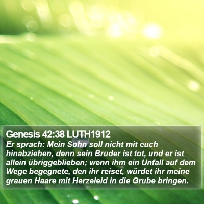 Genesis 42:38 LUTH1912 Bible Verse Image