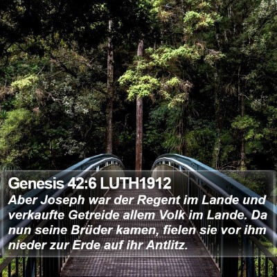 Genesis 42:6 LUTH1912 Bible Verse Image