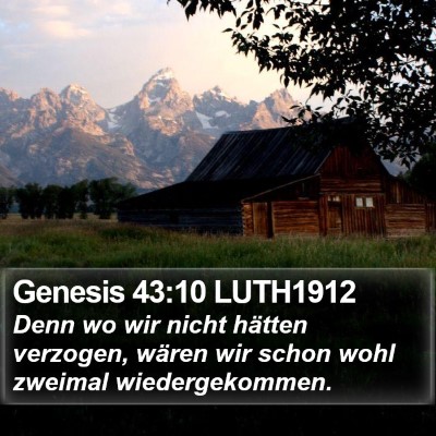 Genesis 43:10 LUTH1912 Bible Verse Image