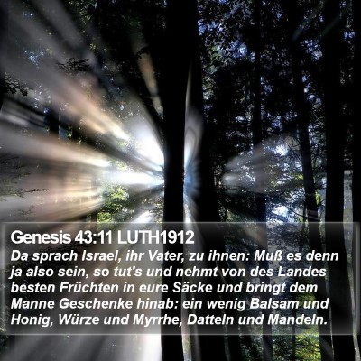 Genesis 43:11 LUTH1912 Bible Verse Image