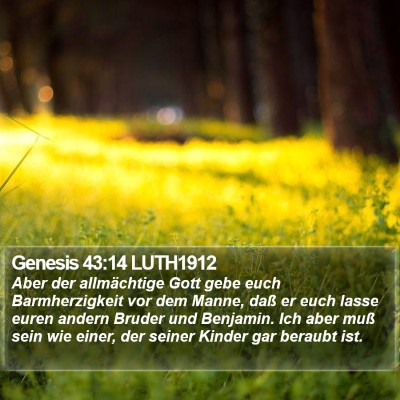 Genesis 43:14 LUTH1912 Bible Verse Image