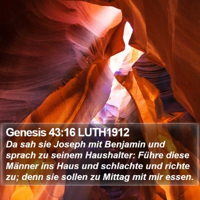 Genesis 43:16 LUTH1912 Bible Verse Image