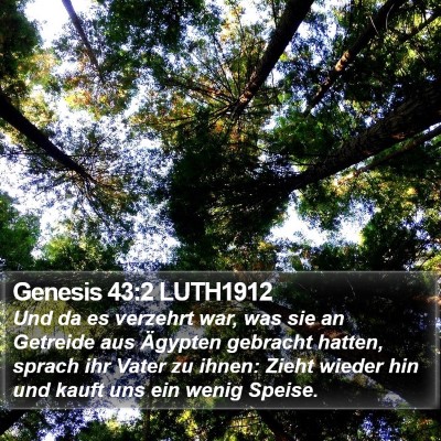 Genesis 43:2 LUTH1912 Bible Verse Image