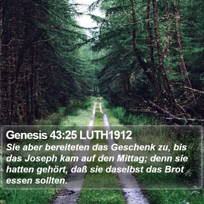 Genesis 43:25 LUTH1912 Bible Verse Image