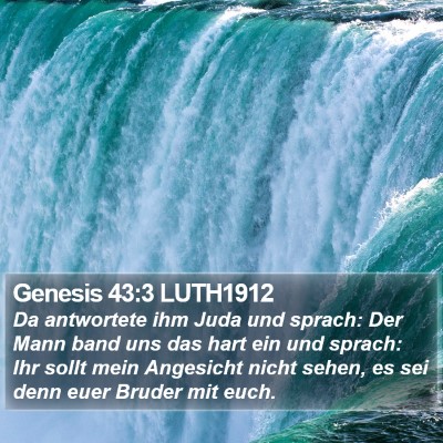 Genesis 43:3 LUTH1912 Bible Verse Image