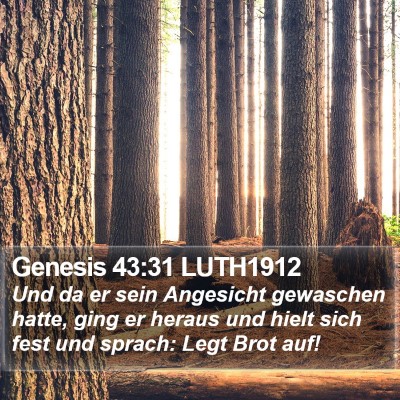 Genesis 43:31 LUTH1912 Bible Verse Image