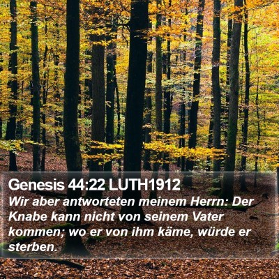 Genesis 44:22 LUTH1912 Bible Verse Image