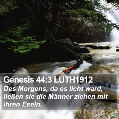 Genesis 44:3 LUTH1912 Bible Verse Image