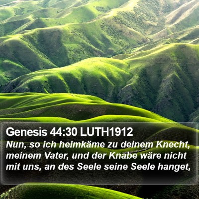 Genesis 44:30 LUTH1912 Bible Verse Image