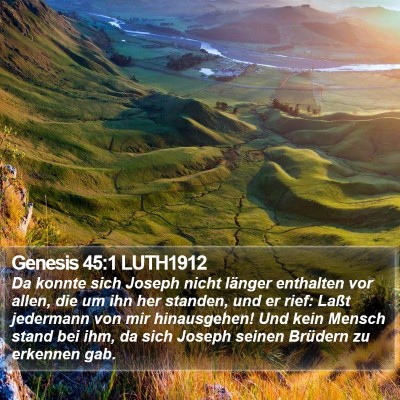 Genesis 45:1 LUTH1912 Bible Verse Image