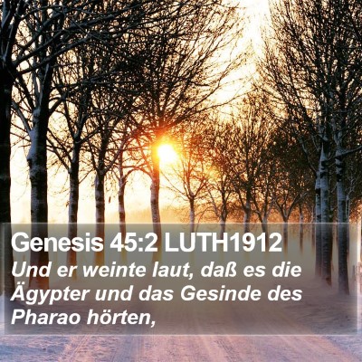 Genesis 45:2 LUTH1912 Bible Verse Image