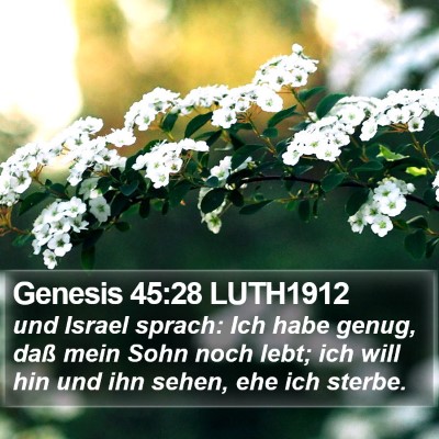 Genesis 45:28 LUTH1912 Bible Verse Image