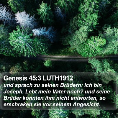 Genesis 45:3 LUTH1912 Bible Verse Image
