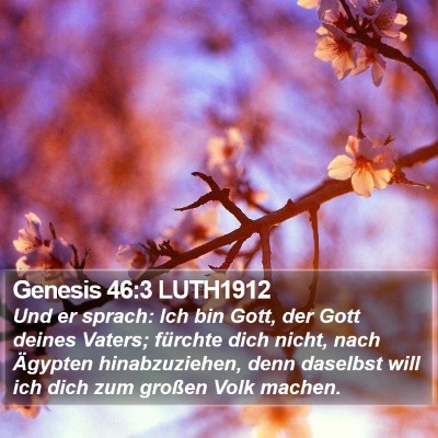 Genesis 46:3 LUTH1912 Bible Verse Image