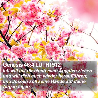 Genesis 46:4 LUTH1912 Bible Verse Image