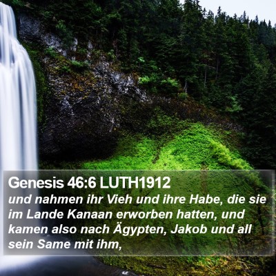 Genesis 46:6 LUTH1912 Bible Verse Image