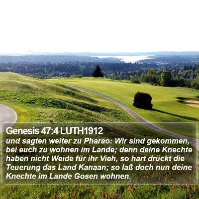 Genesis 47:4 LUTH1912 Bible Verse Image