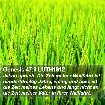 Genesis 47:9 LUTH1912 Bible Verse Image