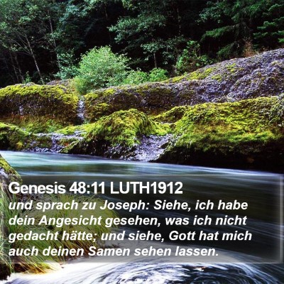 Genesis 48:11 LUTH1912 Bible Verse Image