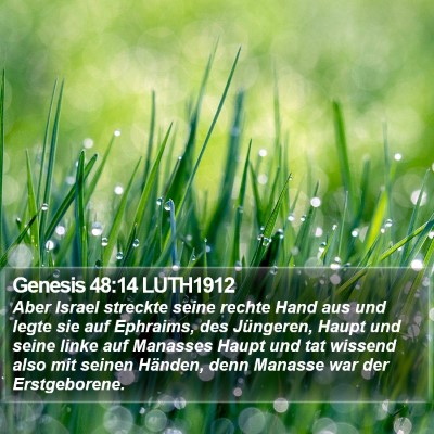 Genesis 48:14 LUTH1912 Bible Verse Image