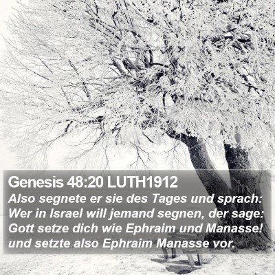 Genesis 48:20 LUTH1912 Bible Verse Image