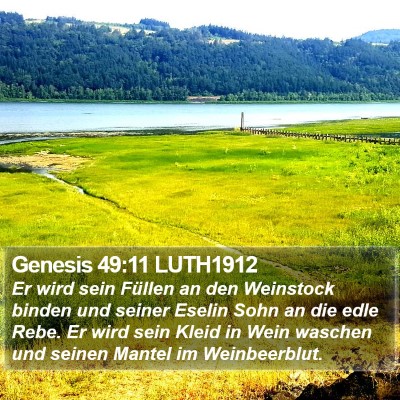 Genesis 49:11 LUTH1912 Bible Verse Image