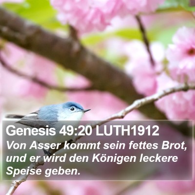 Genesis 49:20 LUTH1912 Bible Verse Image