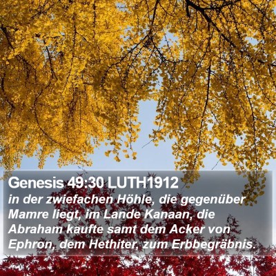 Genesis 49:30 LUTH1912 Bible Verse Image
