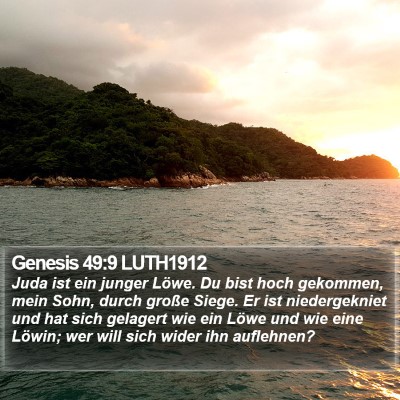 Genesis 49:9 LUTH1912 Bible Verse Image