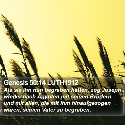 Genesis 50:14 LUTH1912 Bible Verse Image