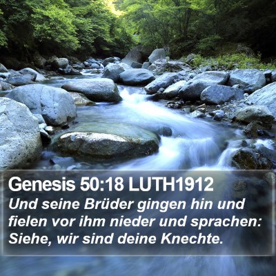 Genesis 50:18 LUTH1912 Bible Verse Image