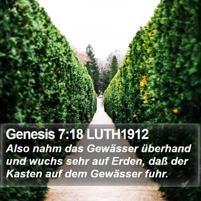 Genesis 7:18 LUTH1912 Bible Verse Image