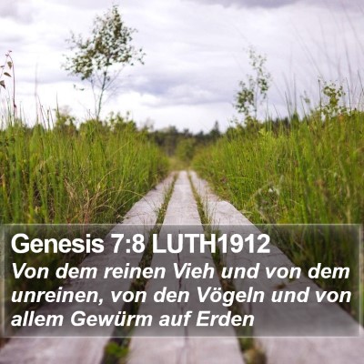 Genesis 7:8 LUTH1912 Bible Verse Image