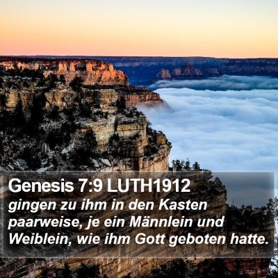 Genesis 7:9 LUTH1912 Bible Verse Image