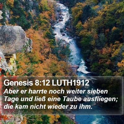 Genesis 8:12 LUTH1912 Bible Verse Image