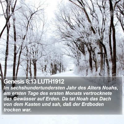 Genesis 8:13 LUTH1912 Bible Verse Image