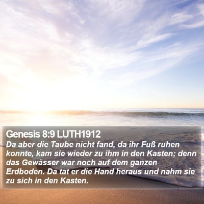 Genesis 8:9 LUTH1912 Bible Verse Image