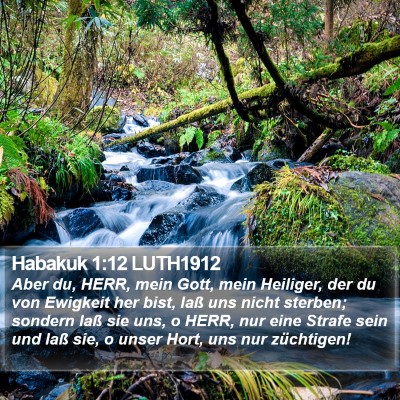 Habakuk 1:12 LUTH1912 Bible Verse Image