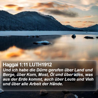 Haggai 1:11 LUTH1912 Bible Verse Image