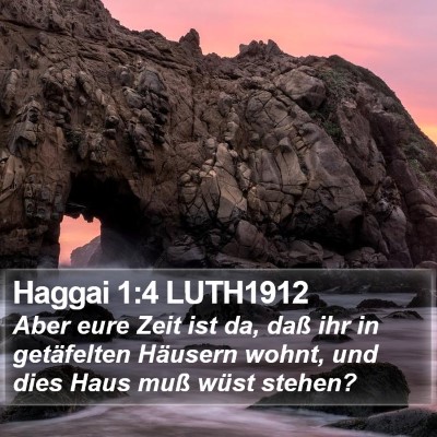 Haggai 1:4 LUTH1912 Bible Verse Image