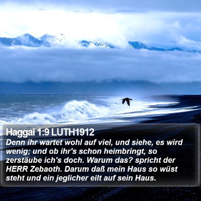 Haggai 1:9 LUTH1912 Bible Verse Image