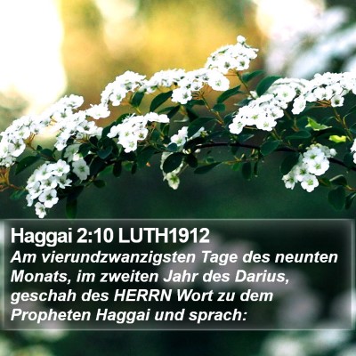 Haggai 2:10 LUTH1912 Bible Verse Image