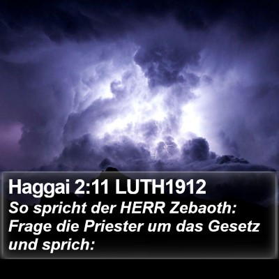 Haggai 2:11 LUTH1912 Bible Verse Image
