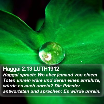 Haggai 2:13 LUTH1912 Bible Verse Image