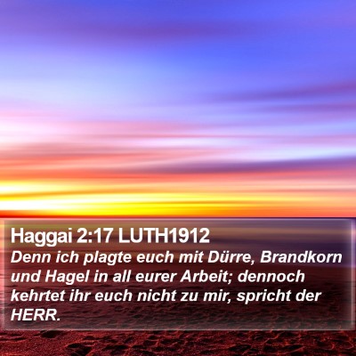 Haggai 2:17 LUTH1912 Bible Verse Image