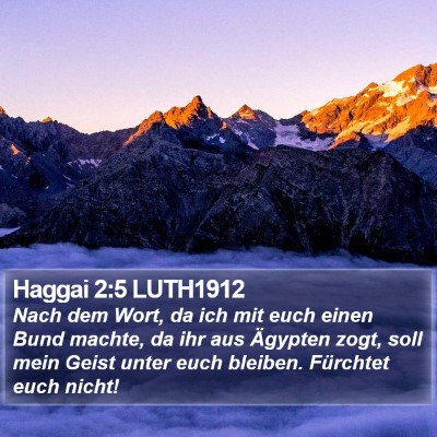 Haggai 2:5 LUTH1912 Bible Verse Image