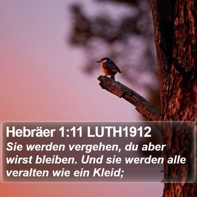 Hebräer 1:11 LUTH1912 Bible Verse Image