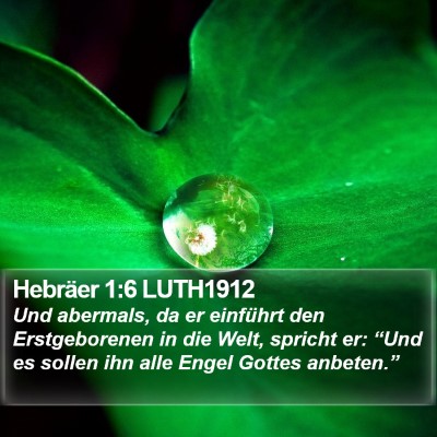 Hebräer 1:6 LUTH1912 Bible Verse Image