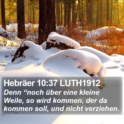 Hebräer 10:37 LUTH1912 Bible Verse Image
