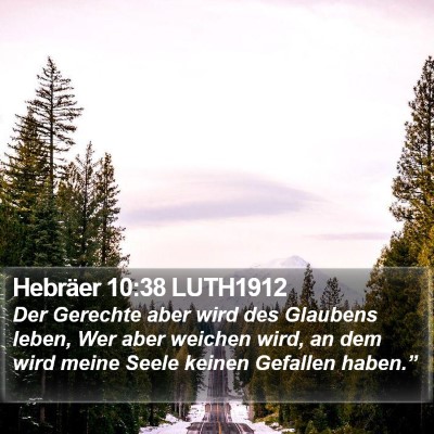 Hebräer 10:38 LUTH1912 Bible Verse Image